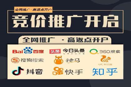 百度SEO推广案例：实战解析与优化建议